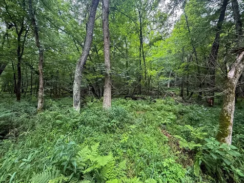 Tbd 590th Street Kellogg MN 55964