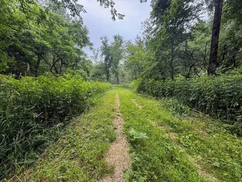 Tbd 590th Street Kellogg MN 55964