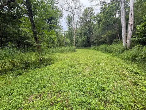Tbd 590th Street Kellogg MN 55964