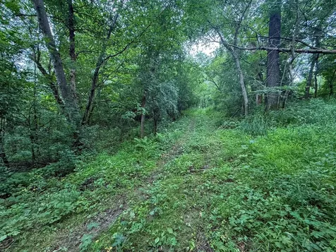 Tbd 590th Street Kellogg MN 55964