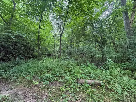Tbd 590th Street Kellogg MN 55964
