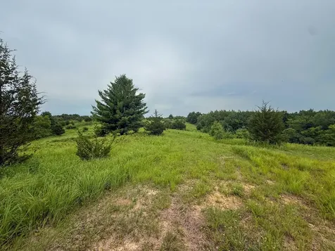 Tbd 590th Street Kellogg MN 55964