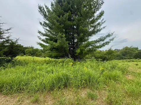 Tbd 590th Street Kellogg MN 55964