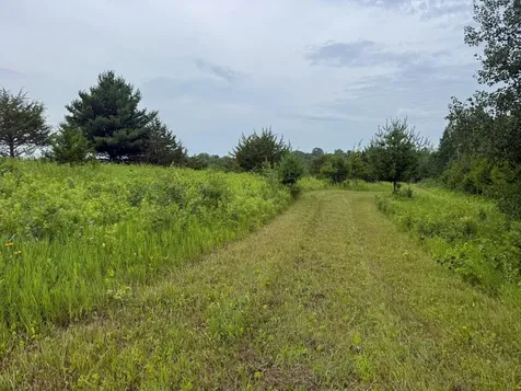 Tbd 590th Street Kellogg MN 55964