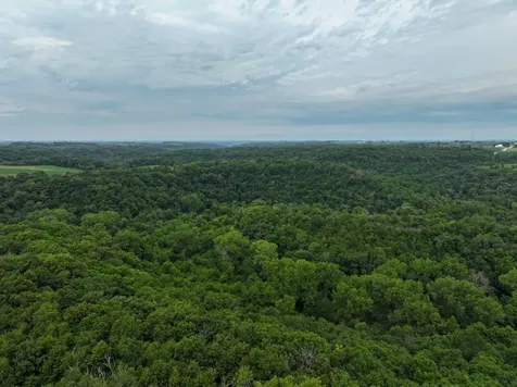 Tbd 590th Street Kellogg MN 55964
