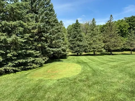 3807 N Eagle Road Willmar MN 56201