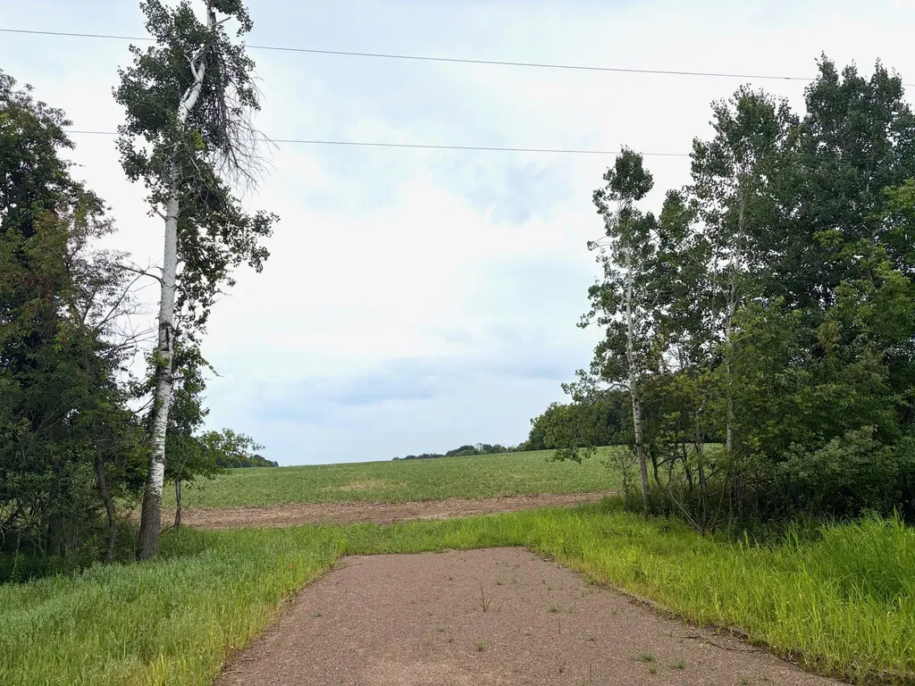 Tbd (L2B1) Flamingo Street NW Isanti MN 55040