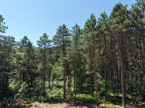 25871 Centennial Lane Nisswa MN 56468