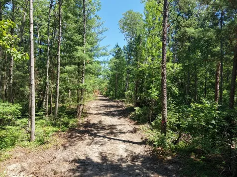 25871 Centennial Lane Nisswa MN 56468