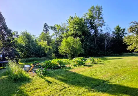 11340 Itasca Street Mizpah MN 56660