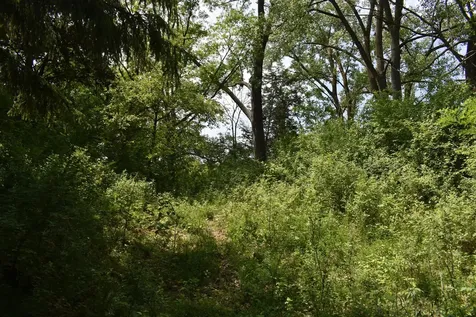 5500 Rowland Road Hopkins MN 55343