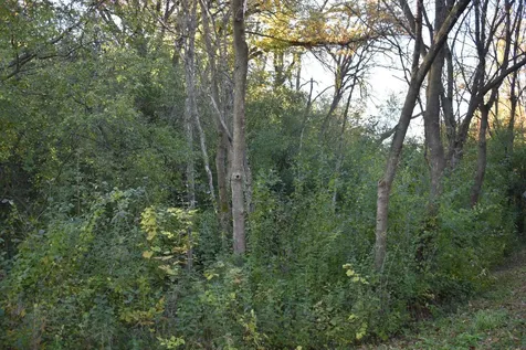 5500 Rowland Road Hopkins MN 55343