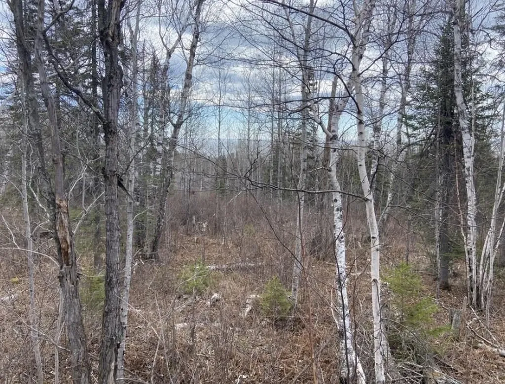 000 Aspen Lane Silver Bay MN 55614