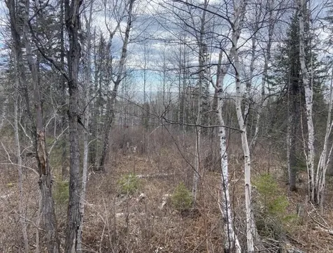 000 Aspen Lane Silver Bay MN 55614