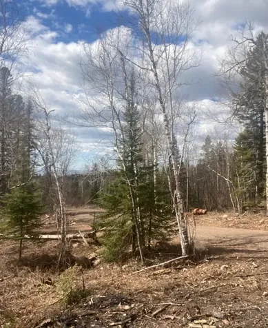 000 Aspen Lane Silver Bay MN 55614