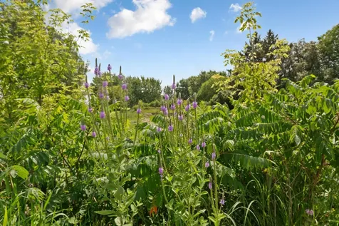 762 Stonegate Road Chanhassen MN 55317