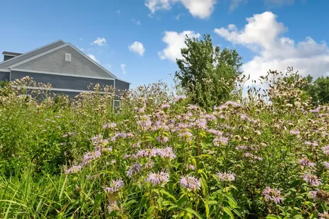 762 Stonegate Road Chanhassen MN 55317