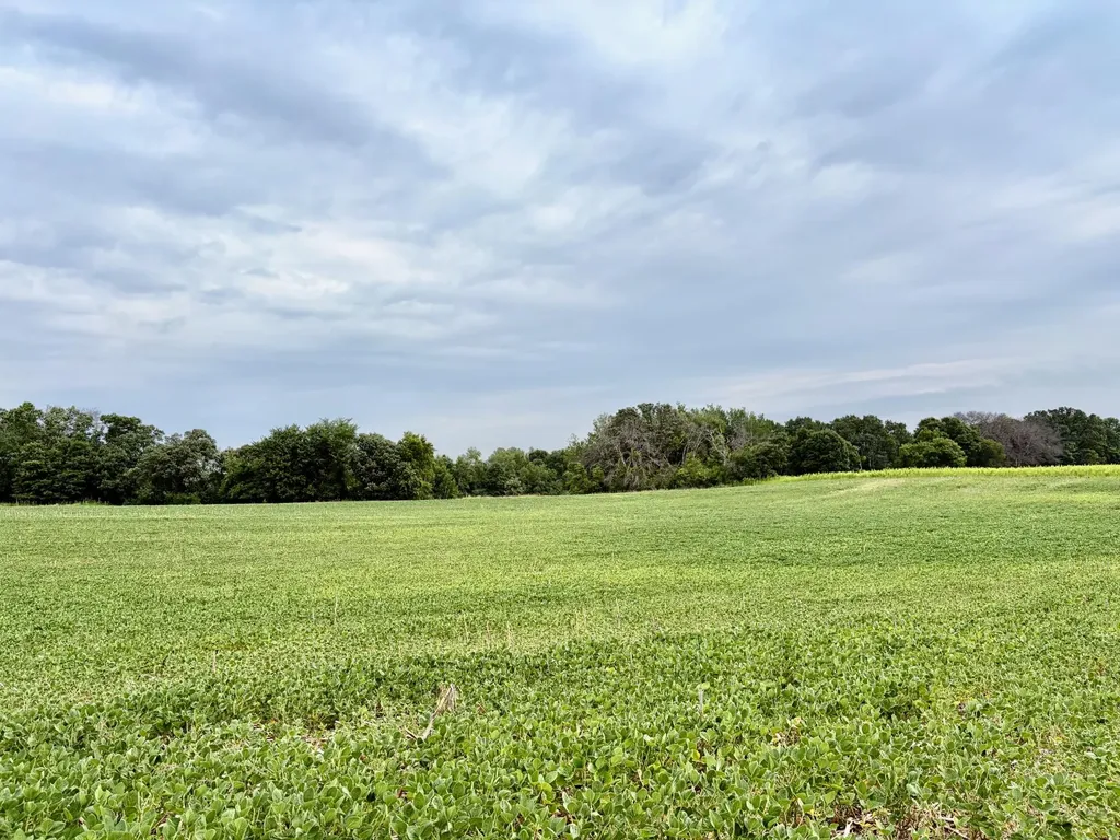 Tbd (L12B2) County Road 5 NW Isanti MN 55040