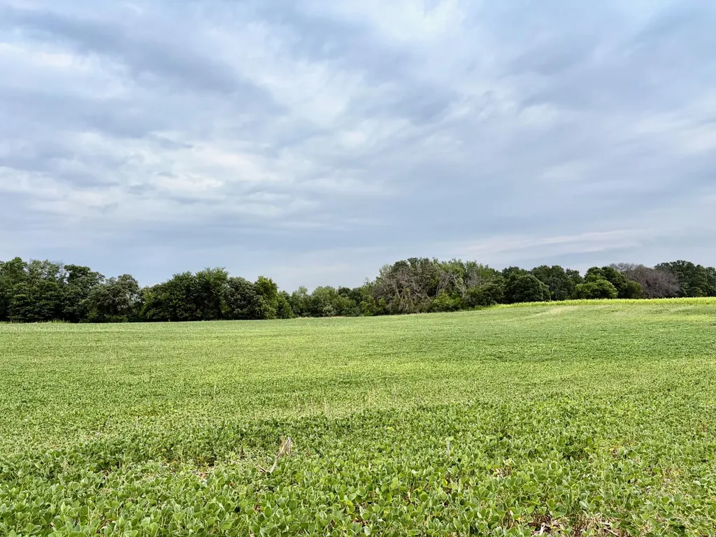 Tbd (L13B2) County Road 5 NW Isanti MN 55040