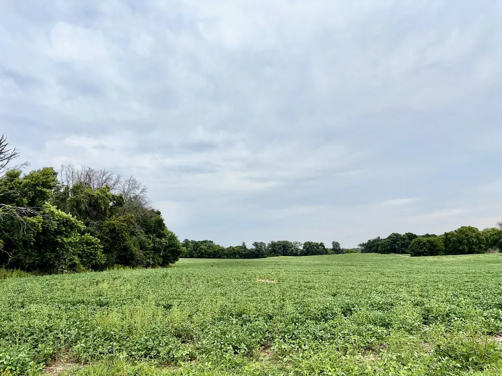 Tbd (L8B2) County Road 5 NW Isanti MN 55040