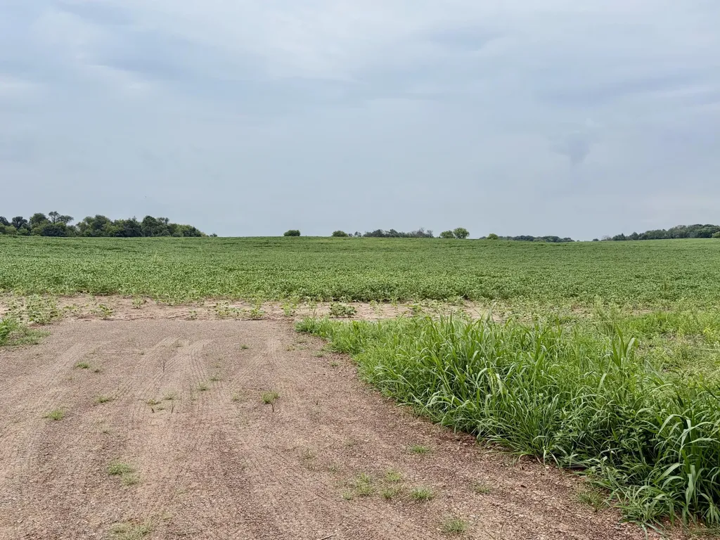 Tbd (L2B2) Flamingo Street NW Isanti MN 55040