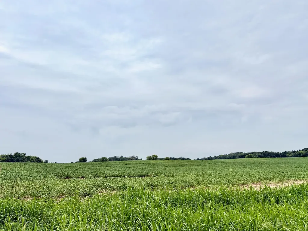 Tbd (L3B2) Flamingo Street NW Isanti MN 55040