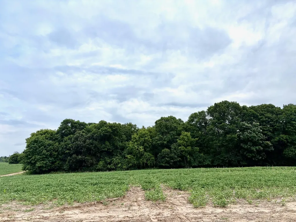 Tbd (L10B2) County Road 5 NW Isanti MN 55040