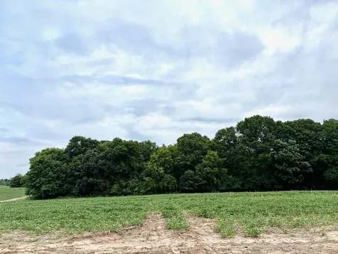 Tbd (L10B2) County Road 5 NW Isanti MN 55040