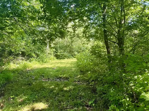 38252 Cloverdale Road Hinckley MN 55037