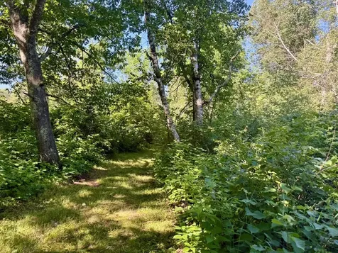 38252 Cloverdale Road Hinckley MN 55037