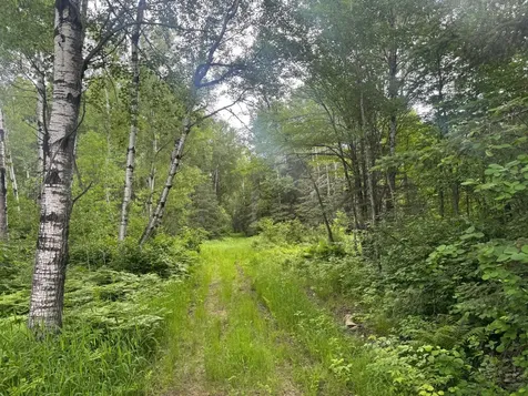 3XXX Quaal Road Forbes MN 55738