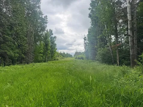 3XXX Quaal Road Forbes MN 55738