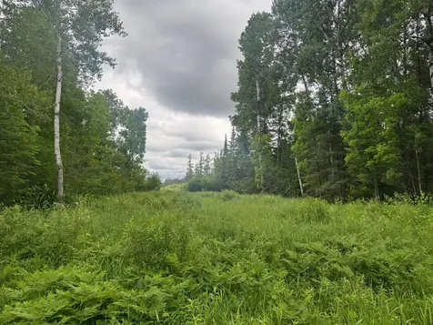 3XXX Quaal Road Forbes MN 55738