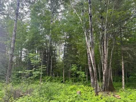 3XXX Quaal Road Forbes MN 55738