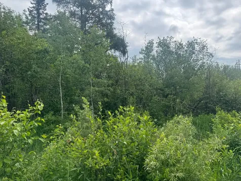 3XXX Quaal Road Forbes MN 55738