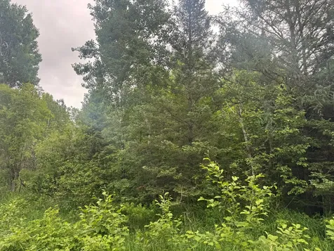 3XXX Quaal Road Forbes MN 55738