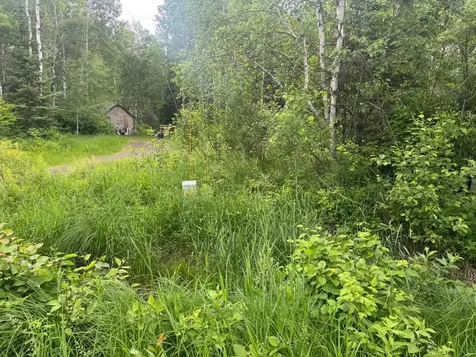 3XXX Quaal Road Forbes MN 55738