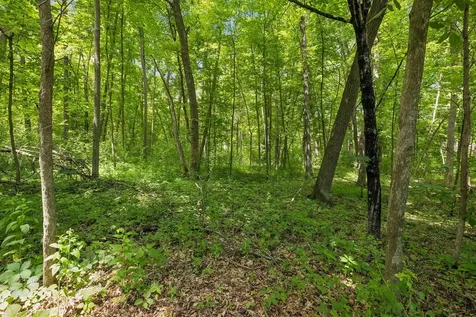18160 Saint Croix Trail N Marine On Saint Croix MN 55047