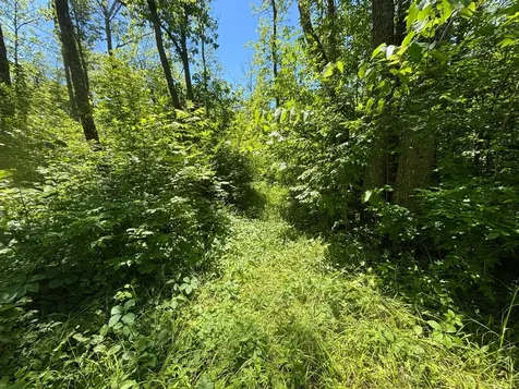 46212 Us Highway 169 Palisade MN 56469