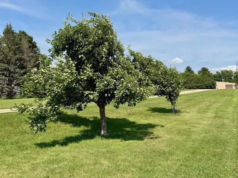 319 & 311 60th Avenue Pipestone MN 56164
