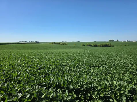 Tbd 310th Avenue Elgin MN 55932