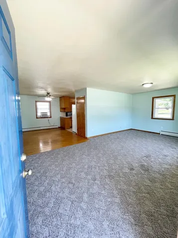 402 N Van Buren Avenue Springfield MN 56087