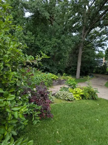812 1st Avenue SE Long Prairie MN 56347