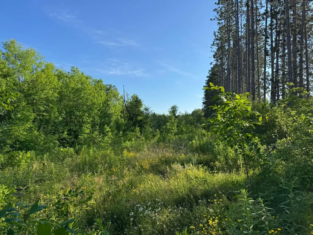 TBD-2 N Riverside Road Moose Lake MN 55767