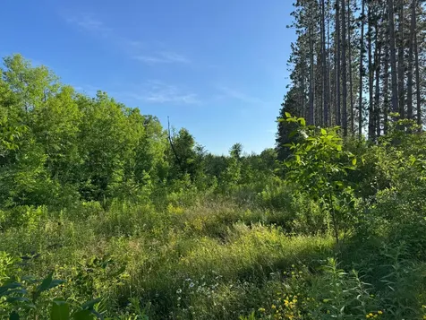 TBD-2 N Riverside Road Moose Lake MN 55767
