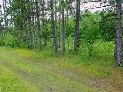 TBD-2 N Riverside Road Moose Lake MN 55767