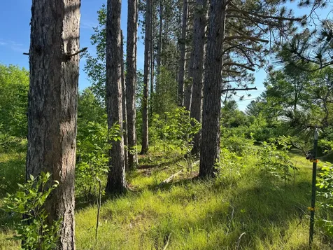 TBD-2 N Riverside Road Moose Lake MN 55767