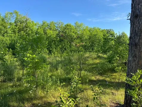 TBD-2 N Riverside Road Moose Lake MN 55767
