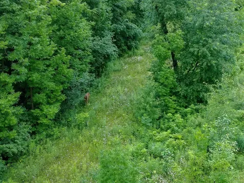 TBD-2 N Riverside Road Moose Lake MN 55767