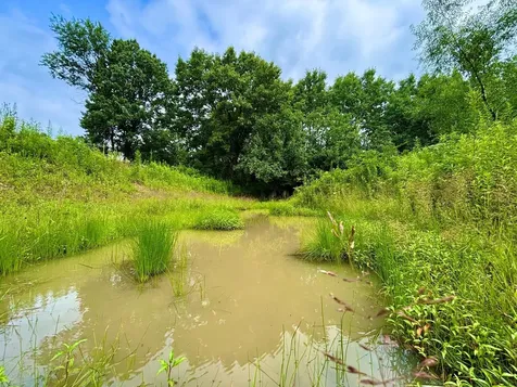 TBD89 County 13 Houston MN 55943